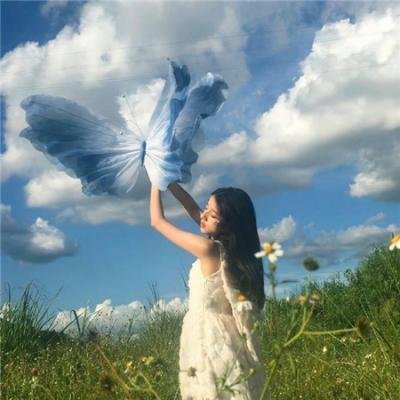 绿头苍蝇