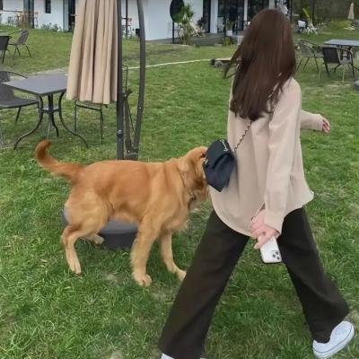 无限超越班第三季